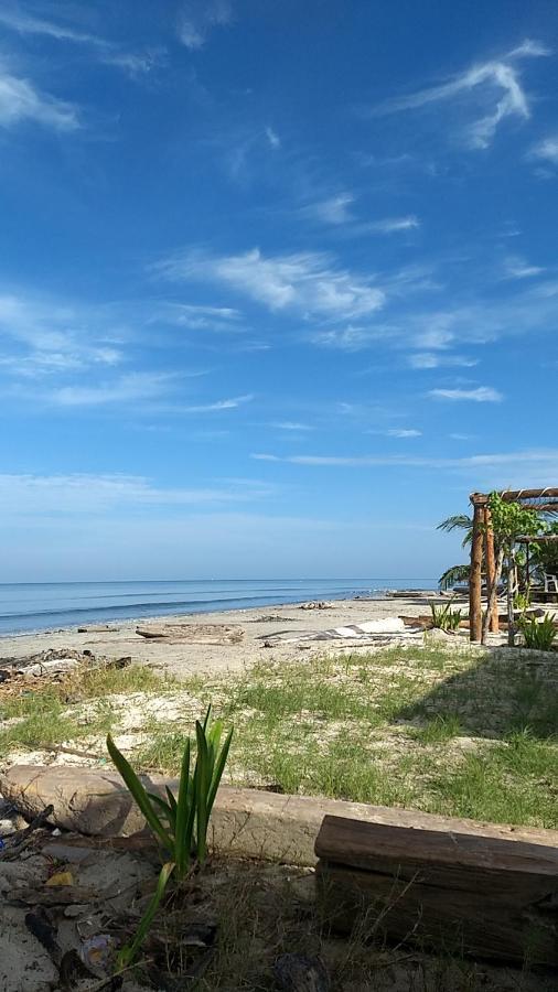 Urantia Beach Hostel & Camping San Onofre Zewnętrze zdjęcie